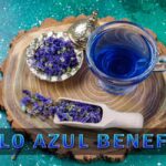 Palo Azul Benefits