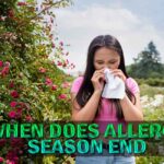 When Does Allergy Season End