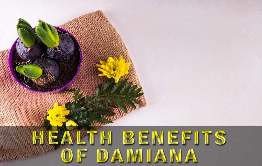 health benefits of damiana