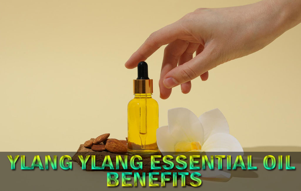 ylang ylang essential oil benefits