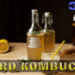 hard kombucha